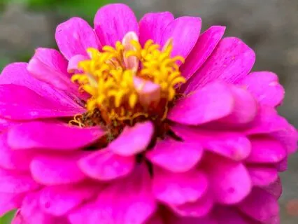 The Goo: The Messy Middle Is Where Growth Begins