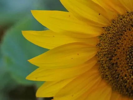 Morning Mood Boost For Joyful Days