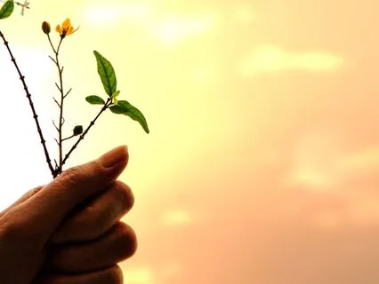 The Good That's Already Here