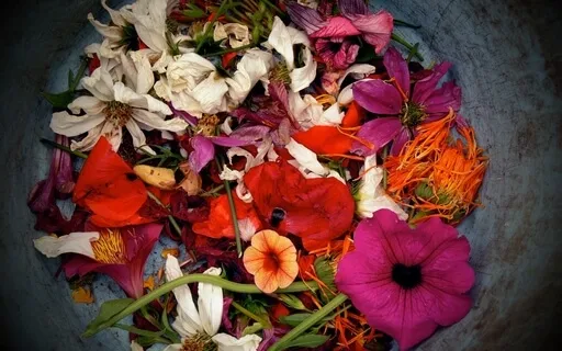 The Goodness Gained By Letting Go - Dissolving Our Defects  