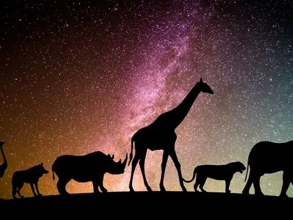 The Goodnight Kiss To The Animal Kingdom