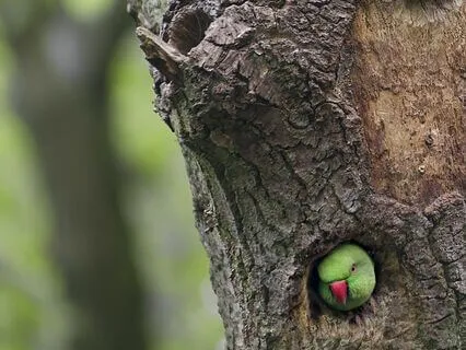 The Grace Of God In My Neighbor