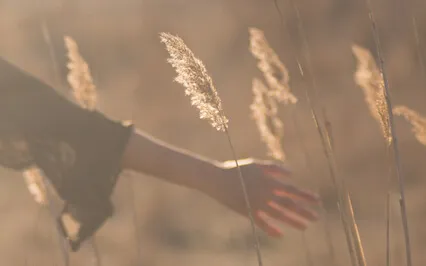 The Grace Of Life ~ Wisdom Notes With Dorothy