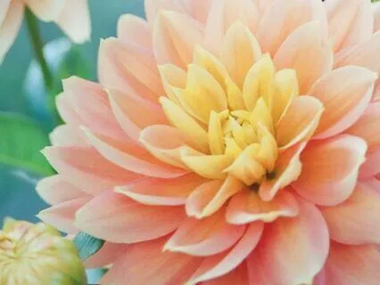 The Grace Space: How I Manifested My Dream Home Part 1