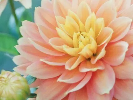 The Grace Space: How I Manifested My Dream Home Part 2