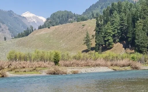 The Grateful Flow Meditation