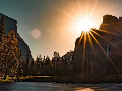 The Gratitude Awakening