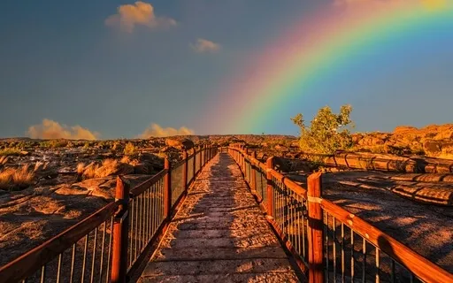 The Gratitude Bridge