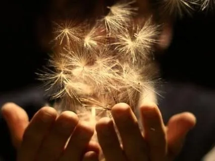 The Great Asking- A Poem On How To Be Here Without Surrender