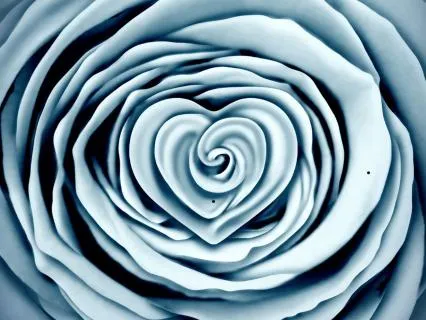 The Great Attreaction Of The Inocent Heart
