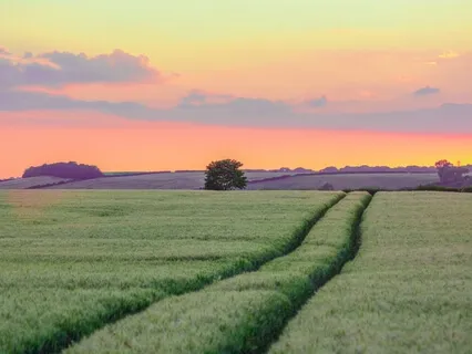 The Great Awakening November 2020: Energetic Forecast - Collective Transition To 5D