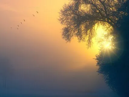 The Great Awakening With Teresa Wornstaff