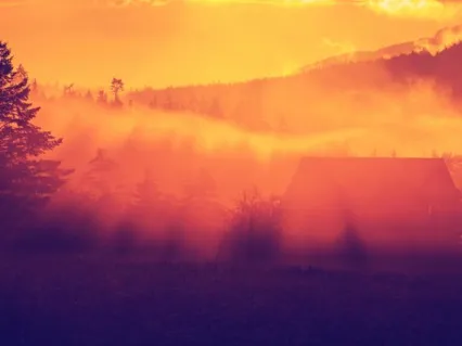 The Great Beyond - Monica Williams