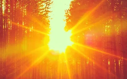 The Great Field Of Love - Sound Healing For Root & Heart