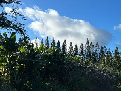 The Great Giff Of Gratitude