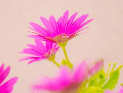 The Great Gift Of Always Returning To Love