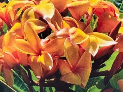 The Great Gift Of Loving Yourself