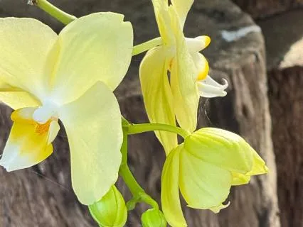 The Great Gift Of Loving Yourself