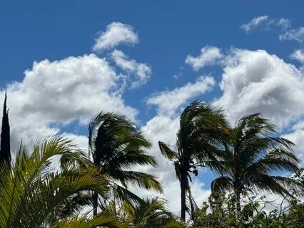 The Great Gift Of Meditation