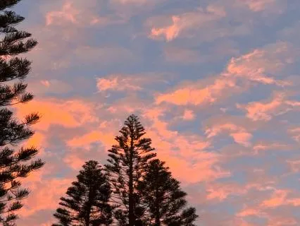 The Great Gift Of True Communication