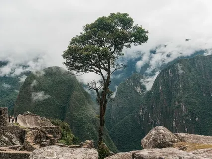 The Great Mountain Spirit