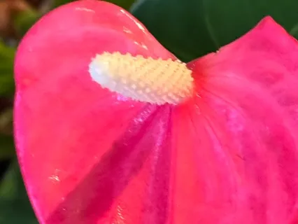 The Great Power Of Forgiveness