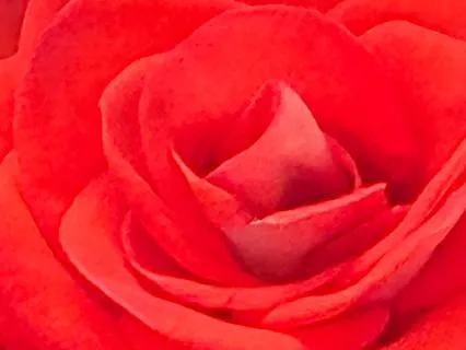 The Great Power Of Inspiration