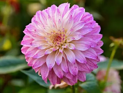 The Great Shift - Navigating Darkness And Embracing Change