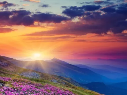 The Greater Issues Are The Root Of The Smaller Issues