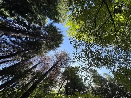 The Greatest Gift Of Life