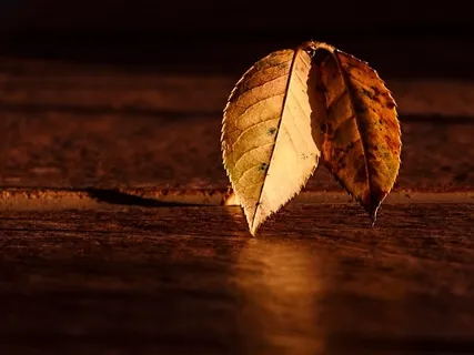 The Greatest Theft | Guided Practice For Love, Inner Peace & Aliveness