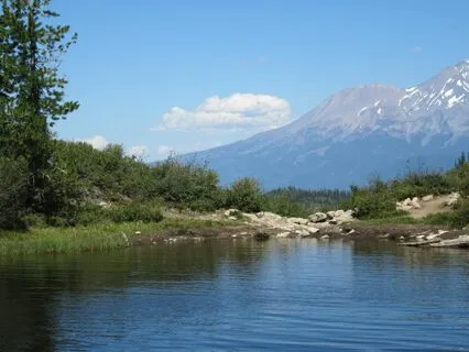 The Ground That Holds You