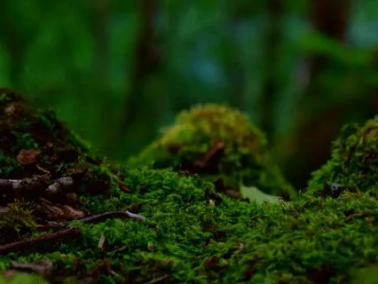 The Grounded Embrace: A Meditation On Grounding And Emotions