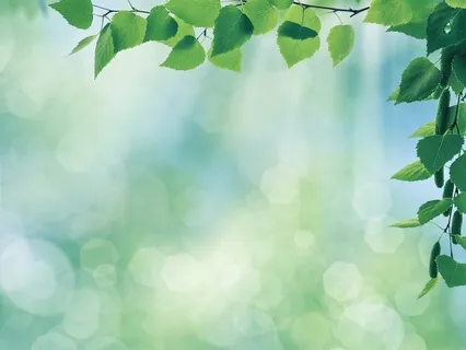 The Grounded Heart - Crystal Bowls