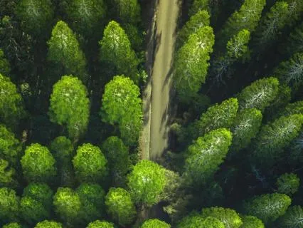 Grounding Breath For Anxiety (A Gentle Reset)