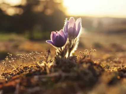 The Growth & Healing Potential Of Meditation