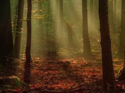 The Guardian Angels (Long Bedtime Story)