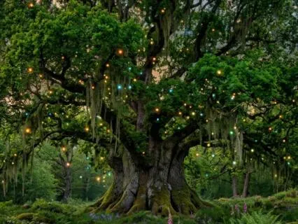 The Guardian Of The Forest - An Enchanting Elven Sleep Story