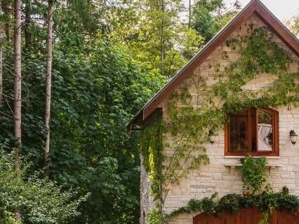 "The Guest House" By Rumi (Journaling Prompt 7)