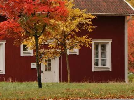 The Guest House By Rumi