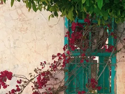 The Guest House | Rumi Poem