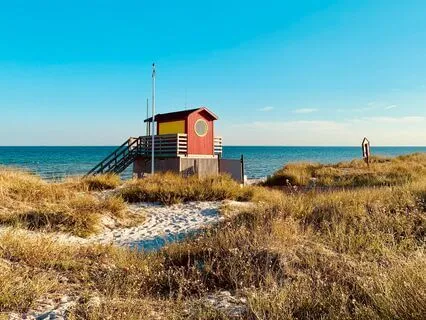 The Guesthouse By Rumi: A Reflection