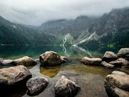 The Guesthouse: Rumi's Invitation To Inner Wisdom