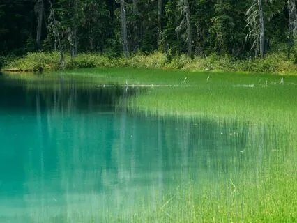 The Habit Of People Pleasing