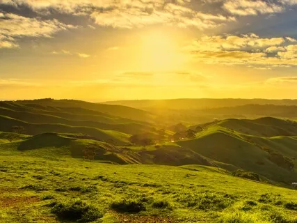 The Half Remembered Dream