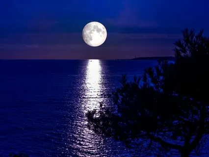 The Halloween Adventure: Non-Scary Bedtime Story