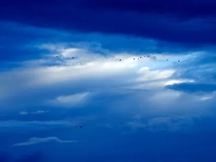 The Hallway That Shouldn't Exist