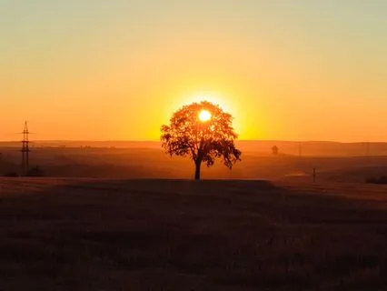 The Hands Of The Lord