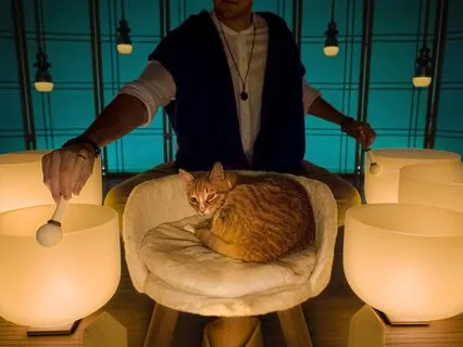 The Happiest Sleep Music