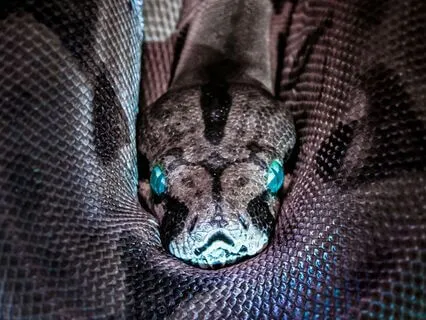 The Hard Truth About Kundalini | The Energy Of Awakening